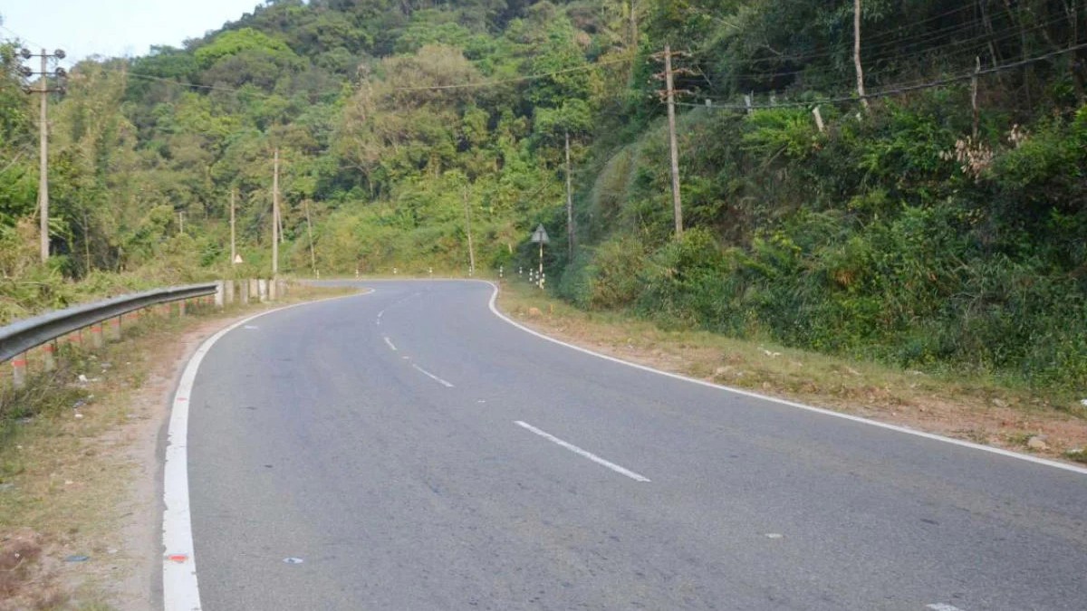 Mysuru-Kushalnagar NH widening: Panel tells Karnataka govt to get wildlife board nod