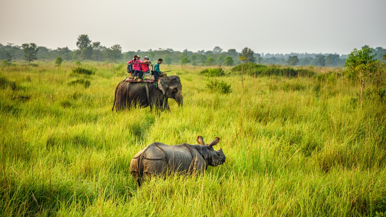 Grasslands seen as wastelands: BNHS urges Centre to frame legal policy