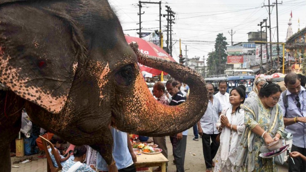 <div class="paragraphs"><p>Credit: PTI</p></div>