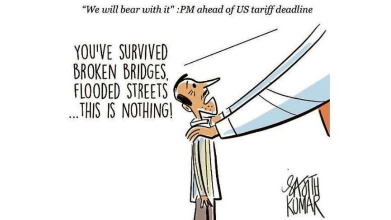 DH Toon | This is nothing!