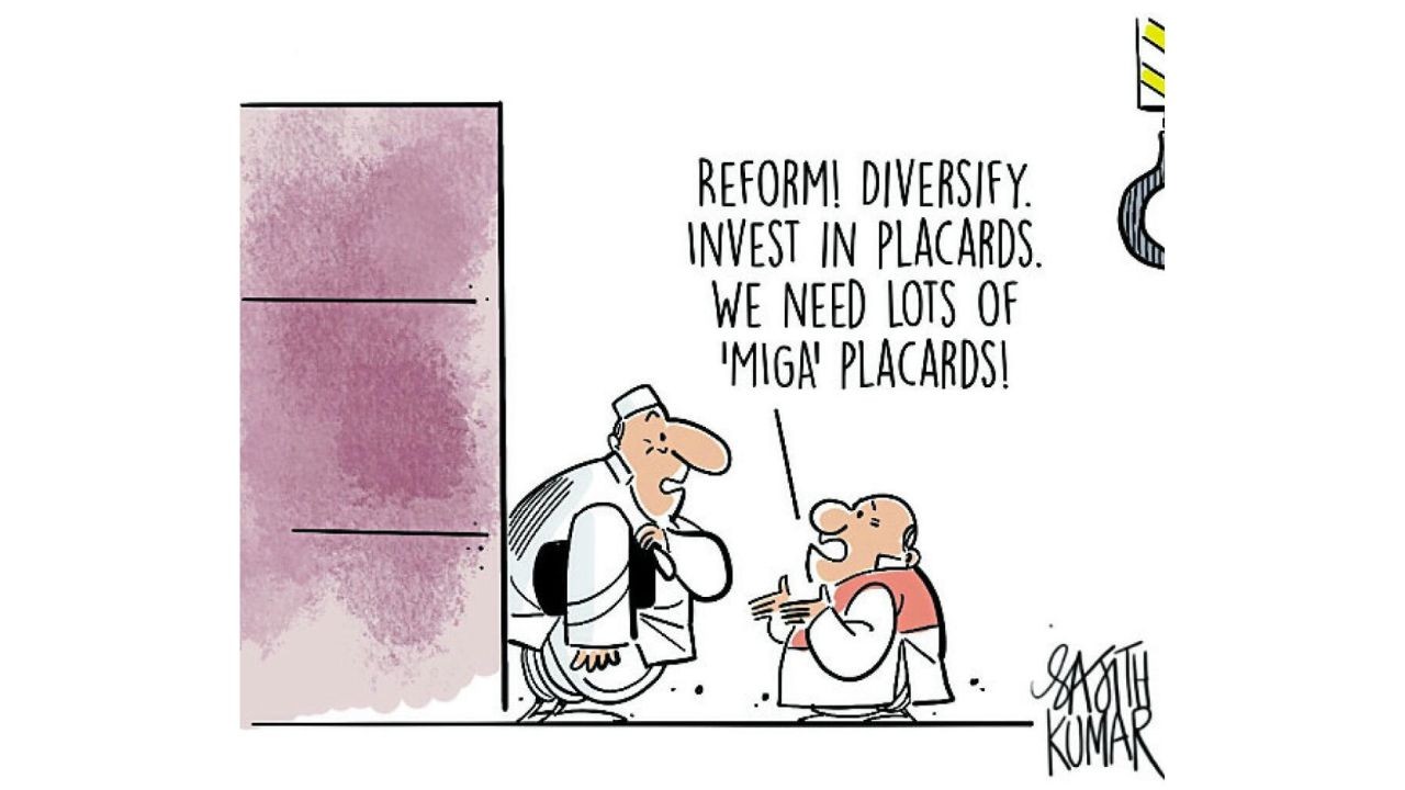 DH Toon | Reform! Diversify.