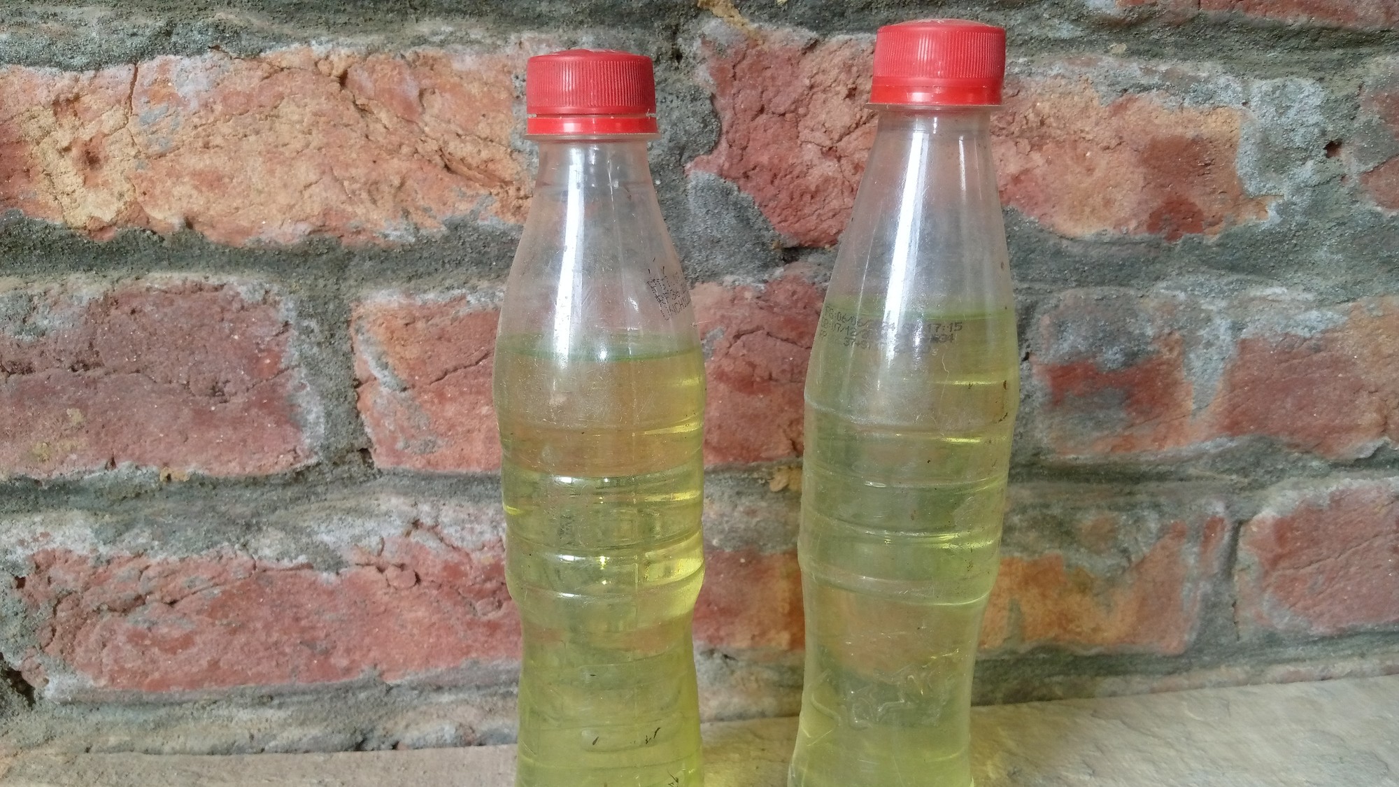 Chhattisgarh teacher held for mixing phenyl in hostel meal to ‘settle score’ with hostel head