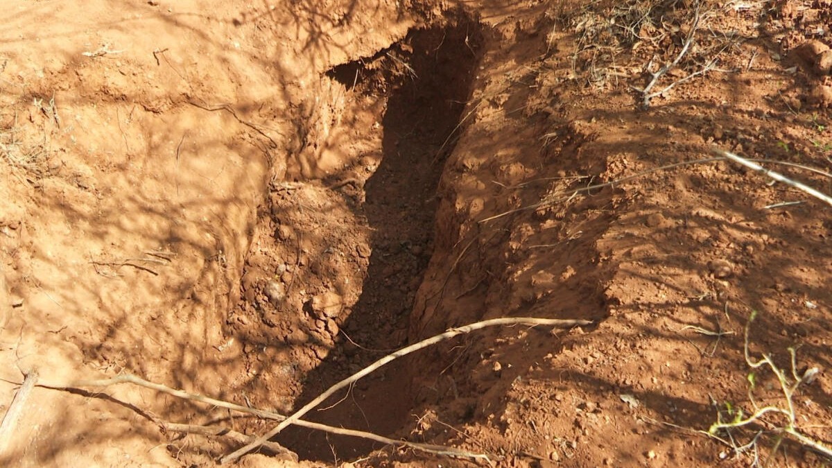 Kenya exhumes 32 bodies as outcry grows over starvation cult deaths