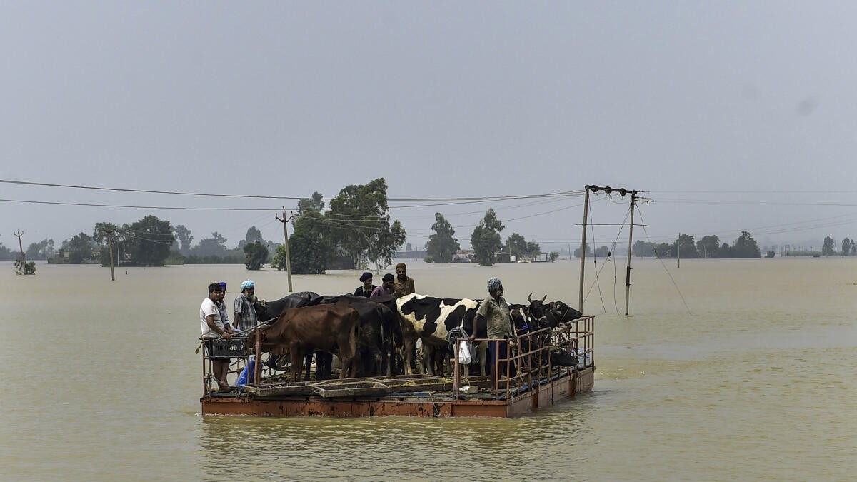 Punjab floods: 3,000 people rescued so far in Ferozepur