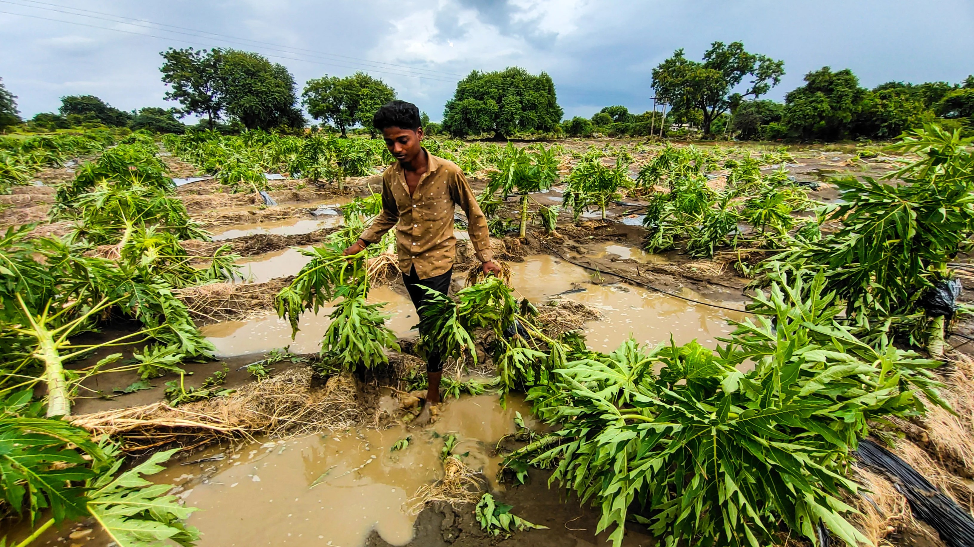 Rain, swollen rivers bring misery to Kalyana Karnataka districts