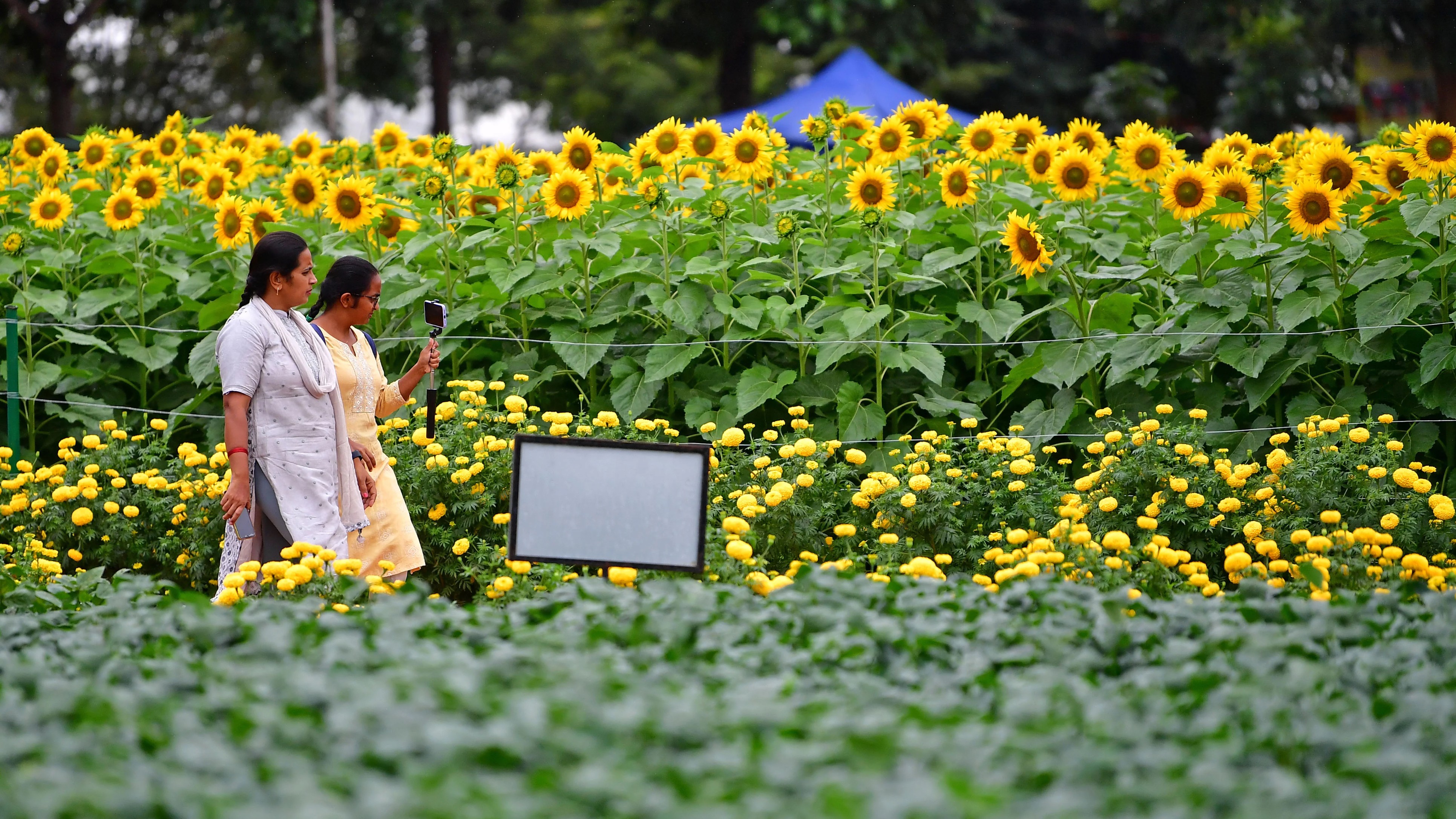 Vendors, residents oppose construction of flower market at GKVK campus