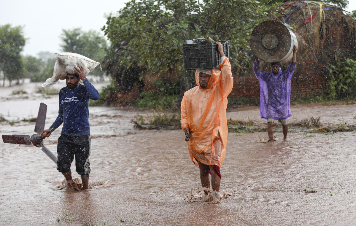 Jammu: Members of Gujjar-Bakarwal community make their way through a flooded area as the Chenab river overflows following heavy rainfall, at Akhnoor, on the outskirts of Jammu district.