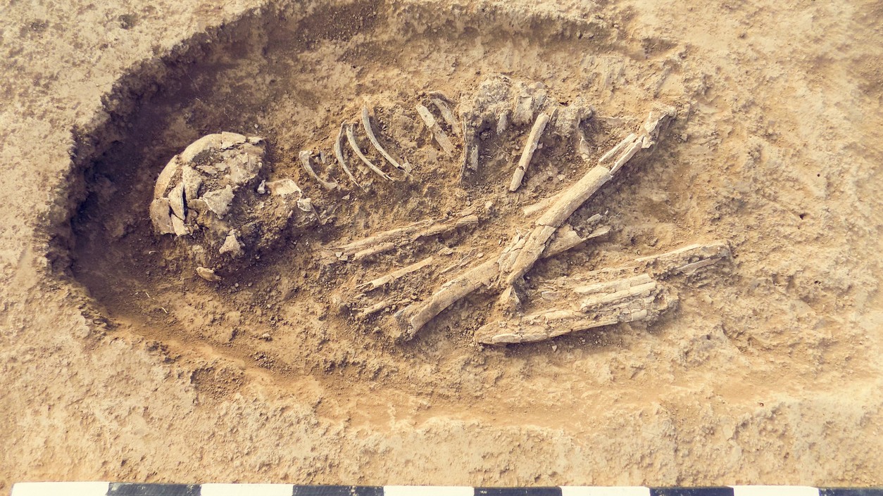 Sri Lanka rights body says mass grave likely result of extrajudicial killings