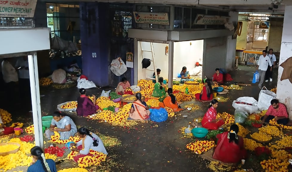 Growers welcome cut flower market shift to GKVK; sellers sceptical