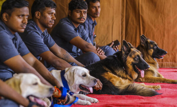 Dog squad personnel with trainee dogs during an event to introduce new dogs and horsewomen riders for Hyderabad City Police, in Hyderabad.