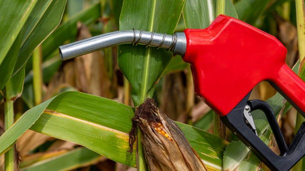 ‘Blending ethanol in petrol in the name of climate action is a myth’
