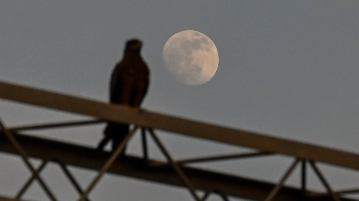 Bengaluru set for rare red moon spectacle this weekend