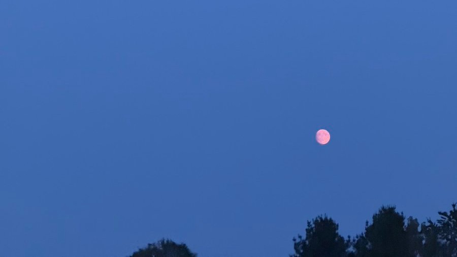 A full moon with a difference