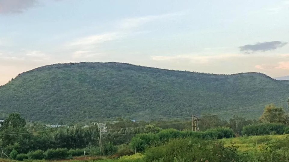 Lure of yellow metal: Bengaluru firm hunts for gold in Chikkamagaluru forest