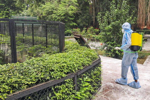 An official sanitizes premises of the National Zoologic Park (NZP) after two painted storks were recently found infected with the H5N1 bird flu virus, in New Delhi, Saturday, Sept. 6, 2025. The Delhi zoo on Friday said no new cases of mortality due to avian influenza have been reported among the water birds in its aviary or migratory birds around the ponds.