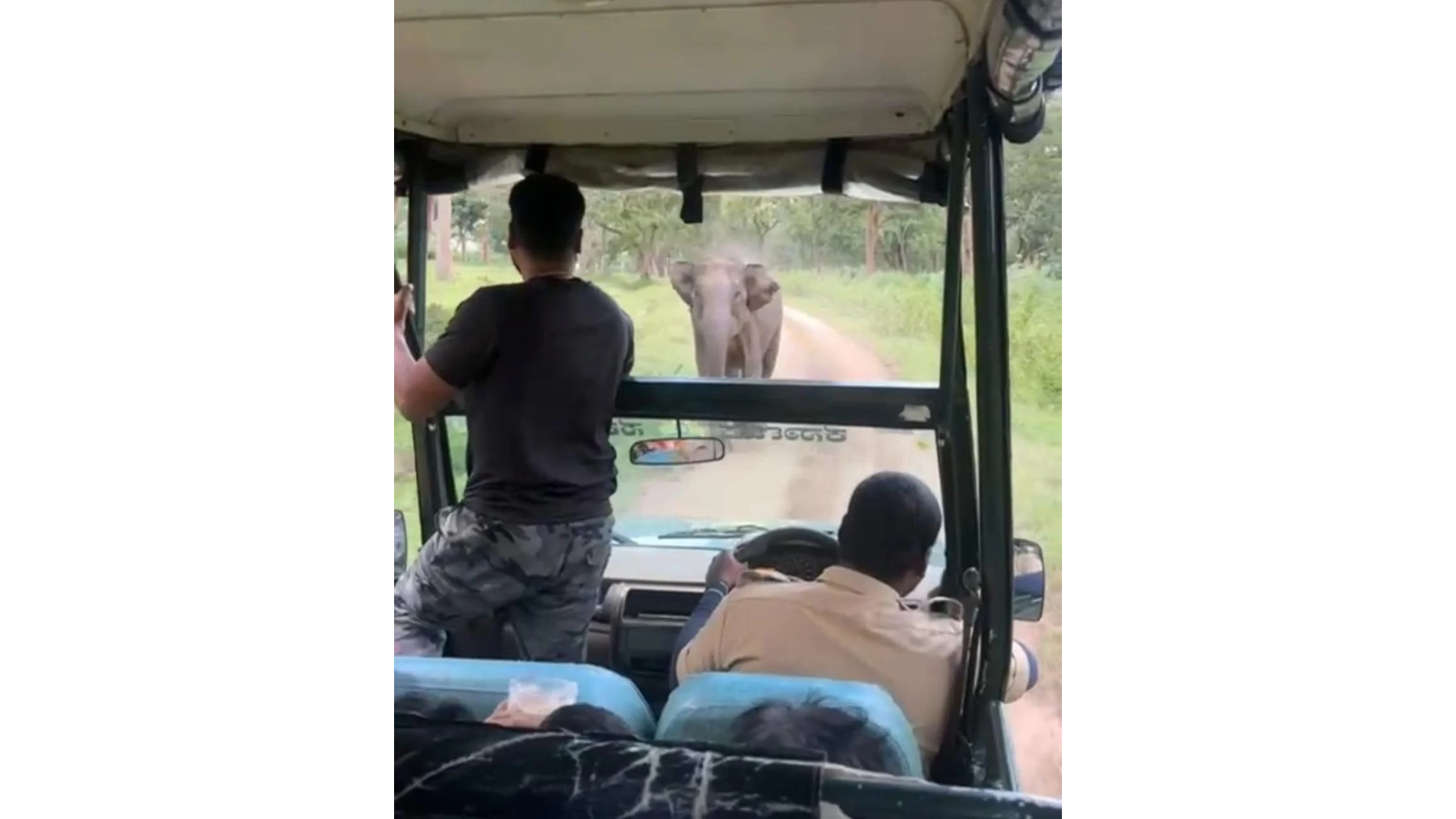 Wild jumbo chases safari vehicle at Bandipur; video goes viral