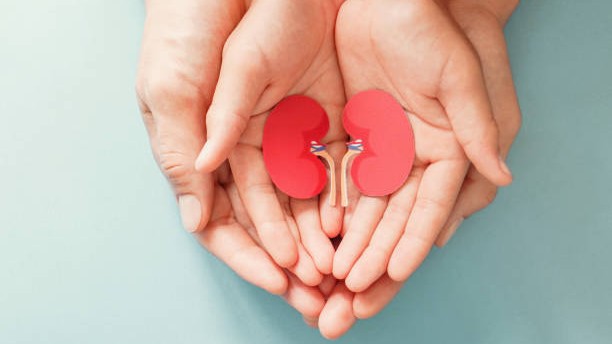 Protein powders, painkillers & poor sleep: Youngsters’ kidneys under siege
