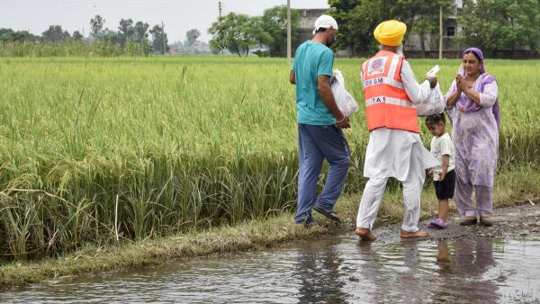 ‘God is testing those hybrids’: Punjab floods become real-world lab for flood-resistant maize