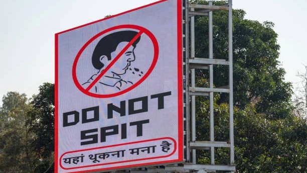 Karnataka: Case registered after two boys spit during Ganpati idol immersion