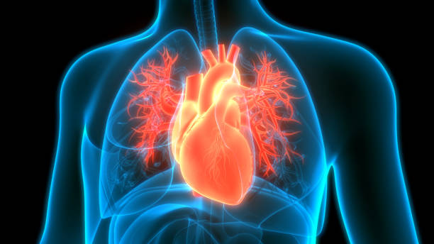 Karnataka: 16 district hospitals to get automated external defibrillators