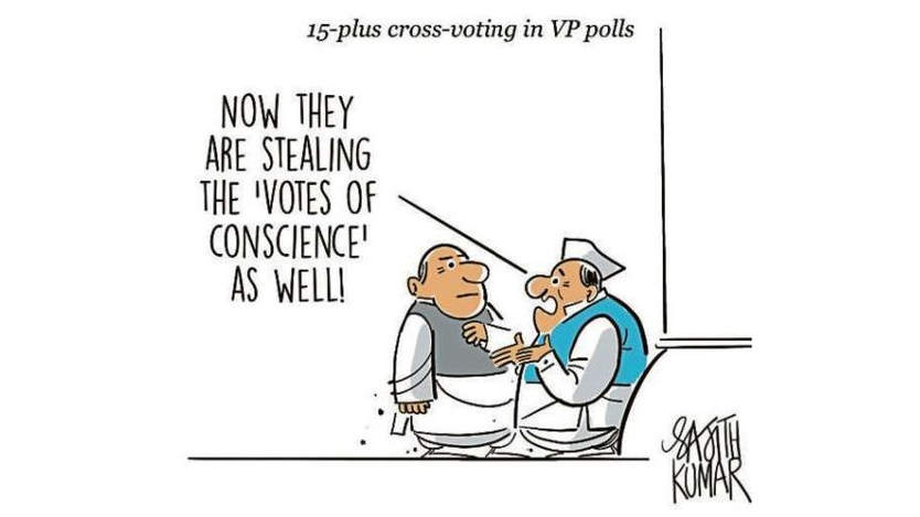 DH Toon | 'Votes of conscience'