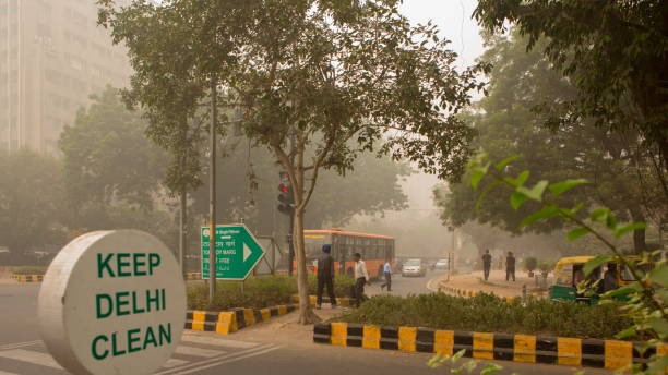 Counting Delhi’s trees: A woody problem, a leafy affair