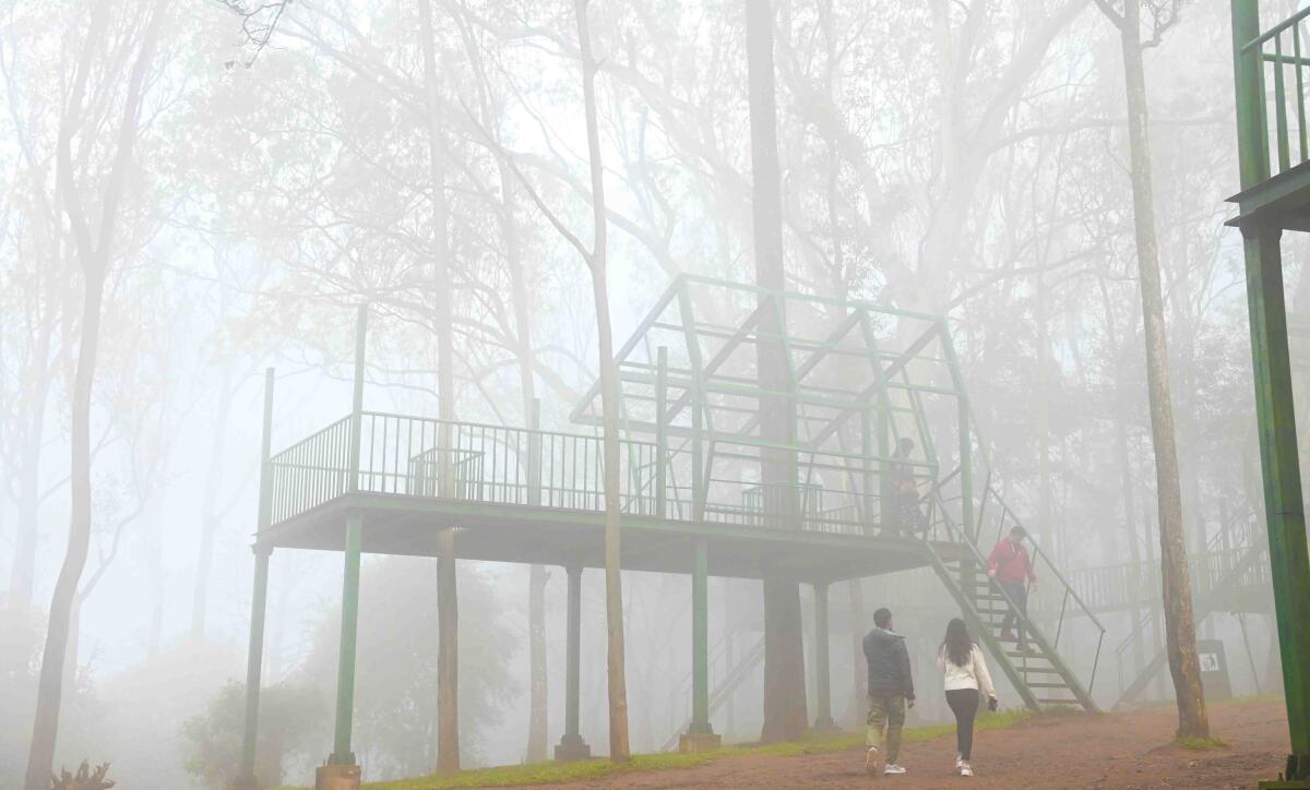 5 hill stations just a drive away from Bengaluru for a perfect retreat