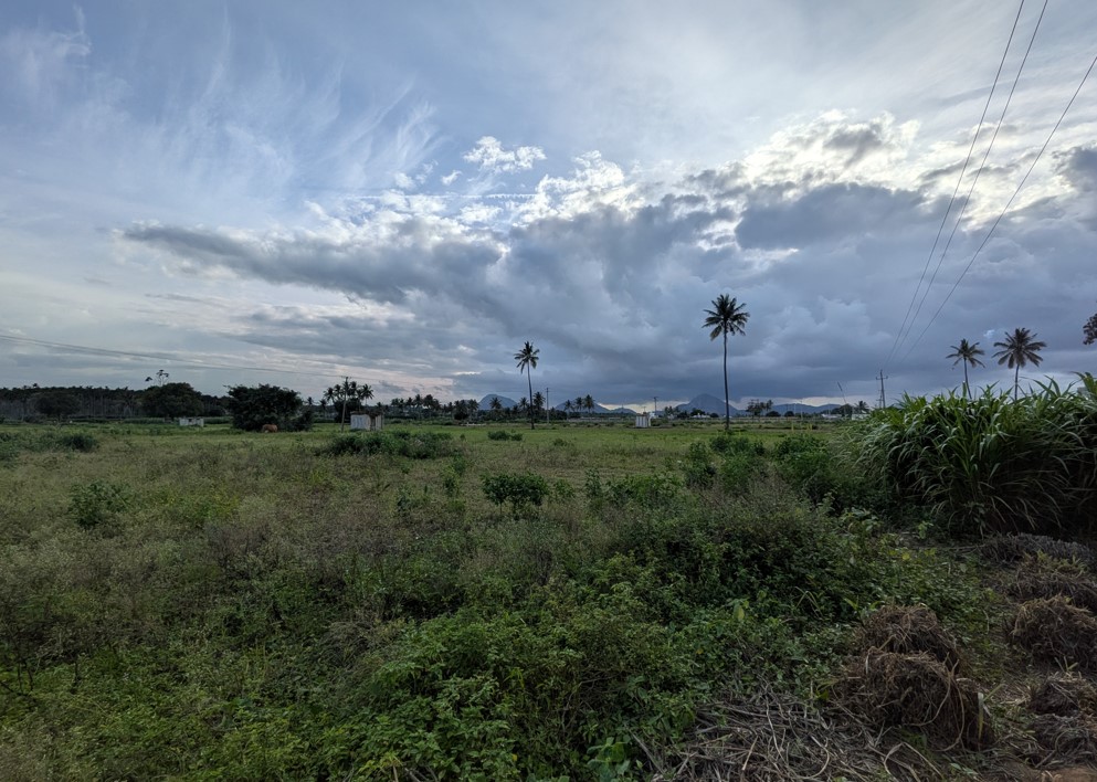Pixel 10 camera sample with ultra-wide angle