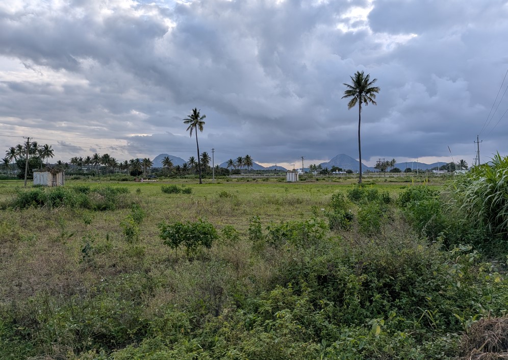 Pixel 10 camera sample with 1X normal.