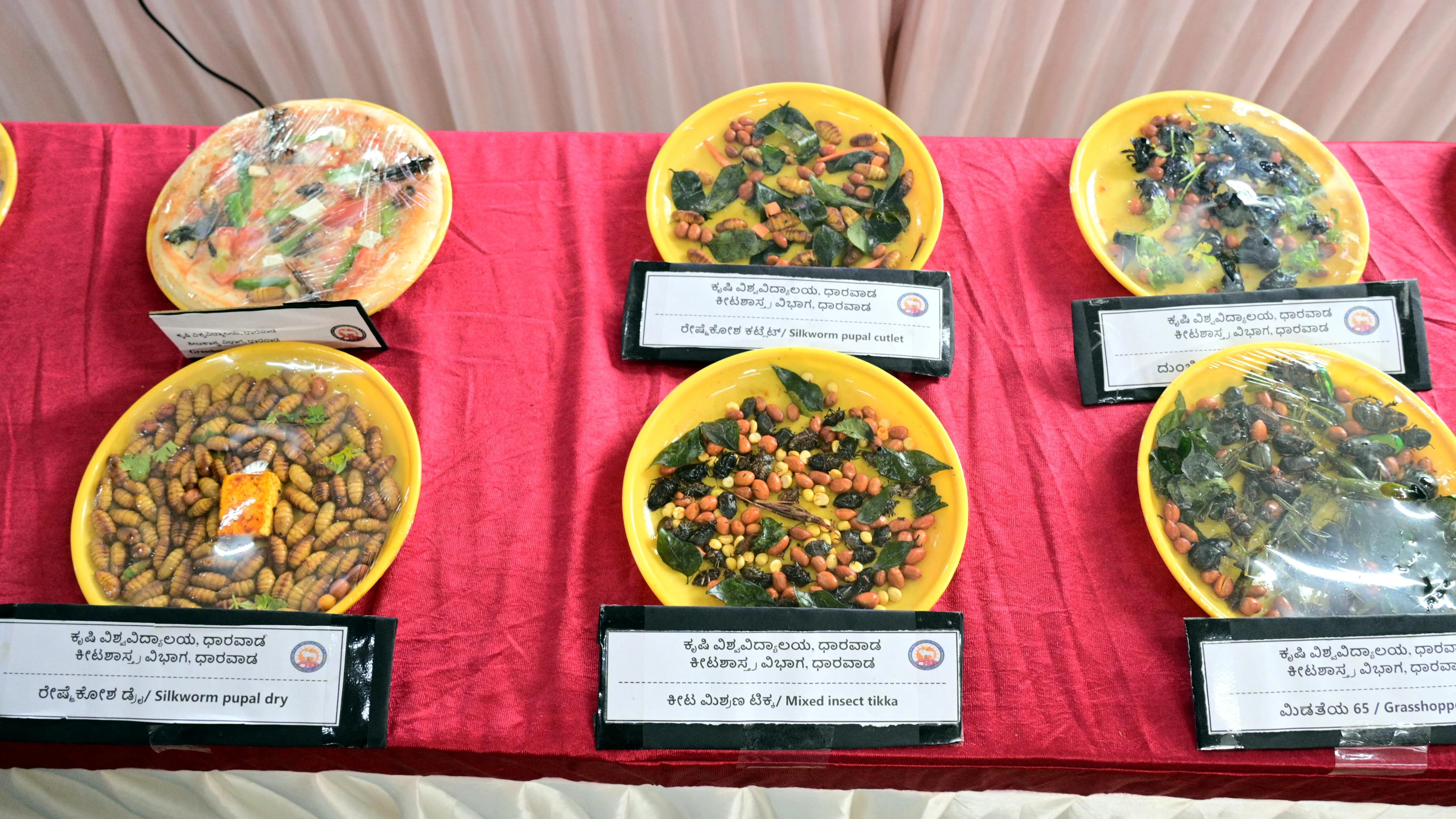Insect dishes create buzz at Krishi Mela in Karnataka's Dharwad