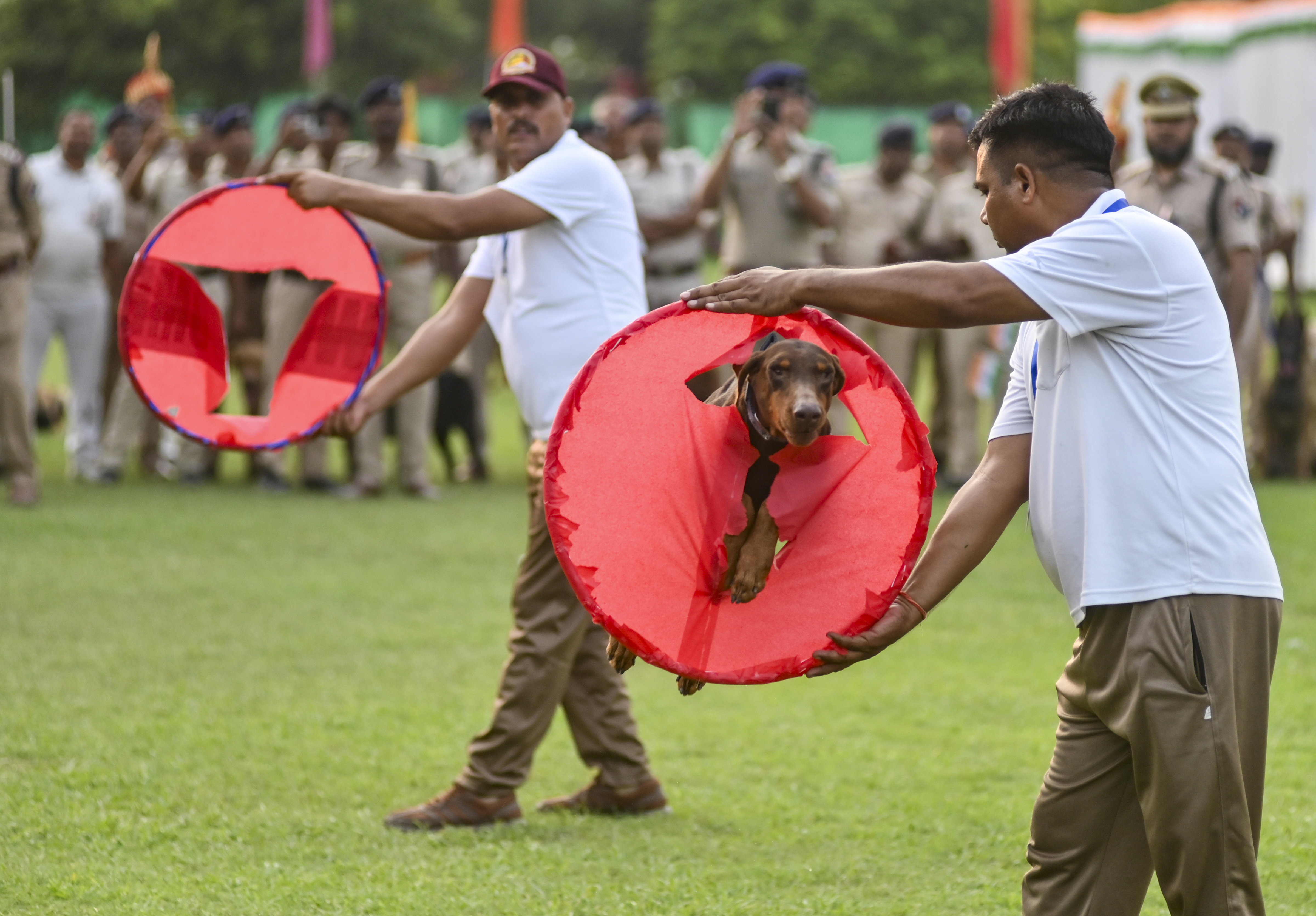 All India RPF Dog Competition held in Prayagraj