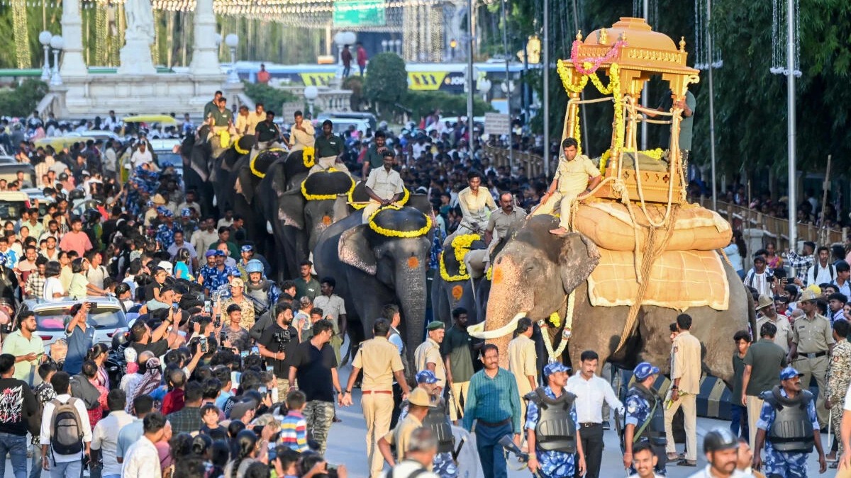 Abhimanyu carries 280-kg wooden howdah in Dasara training march