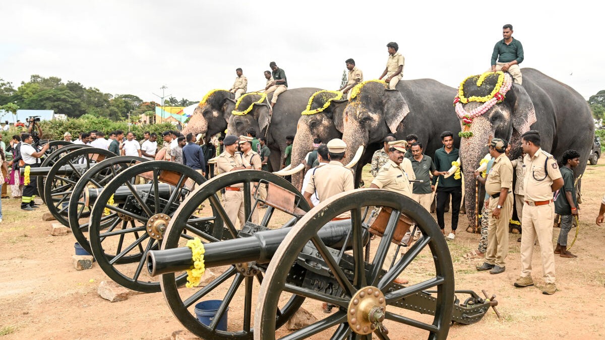 Dasara jumbos breeze through first cannon drill, newcomers get used to noise