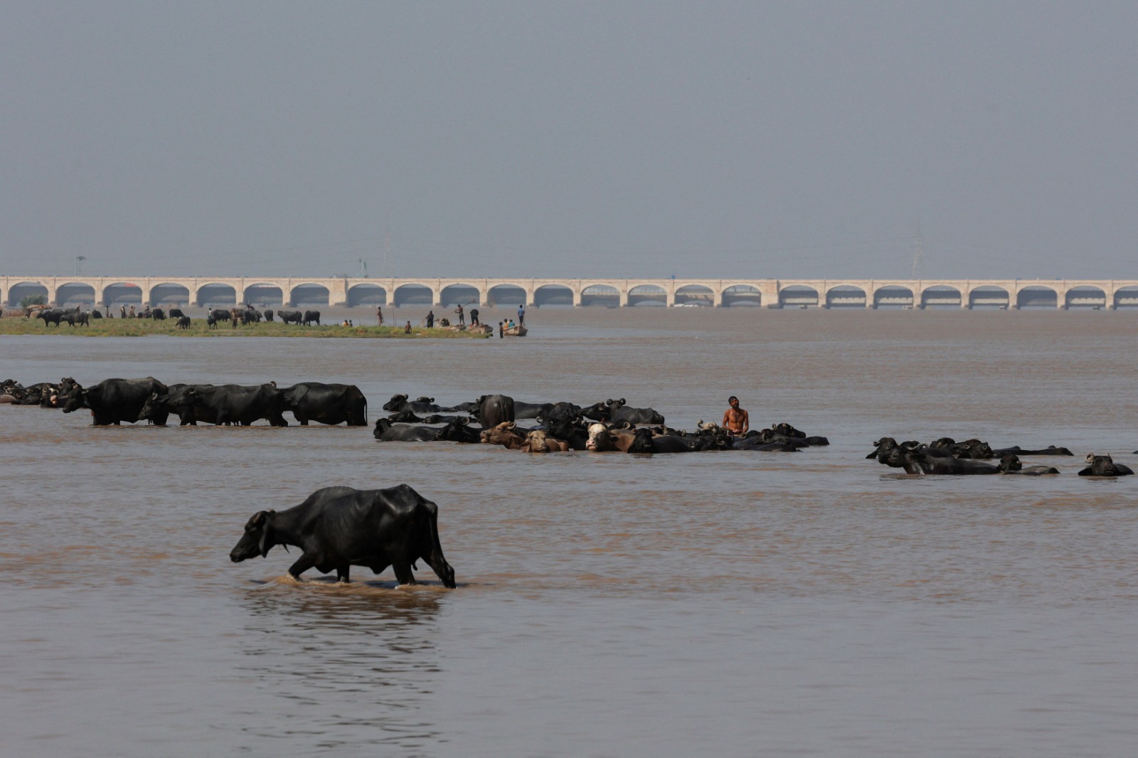 Monsoon rains and rising water level in Rohri.