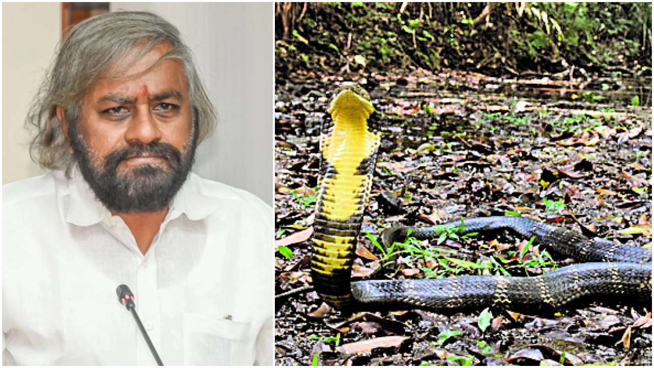DH Impact: Minister Eshwar Khandre orders probe into commercialisation in the name of King Cobra research