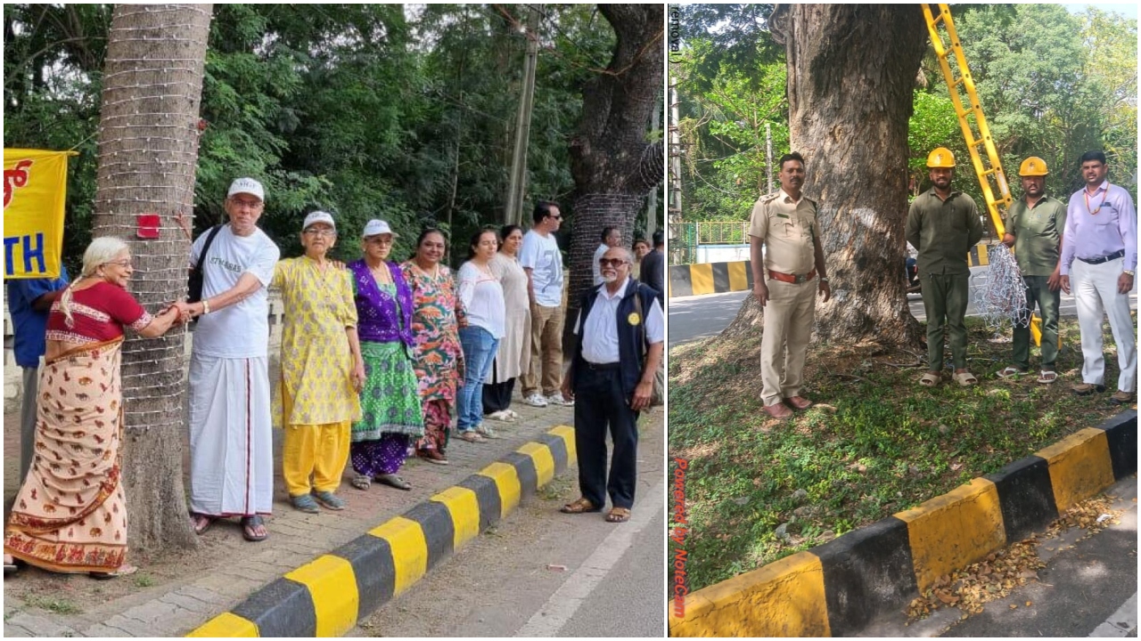 DH Impact: Wires wrapped around trees for Dasara lights removed on major stretches in Mysuru