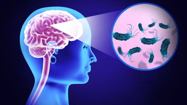 UDF slams Kerala government for lack of scientific explanation over 20 brain fever deaths