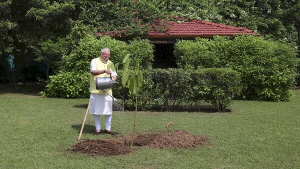 WATCH | PM Modi plants sapling gifted by King Charles III on his 75th birthday