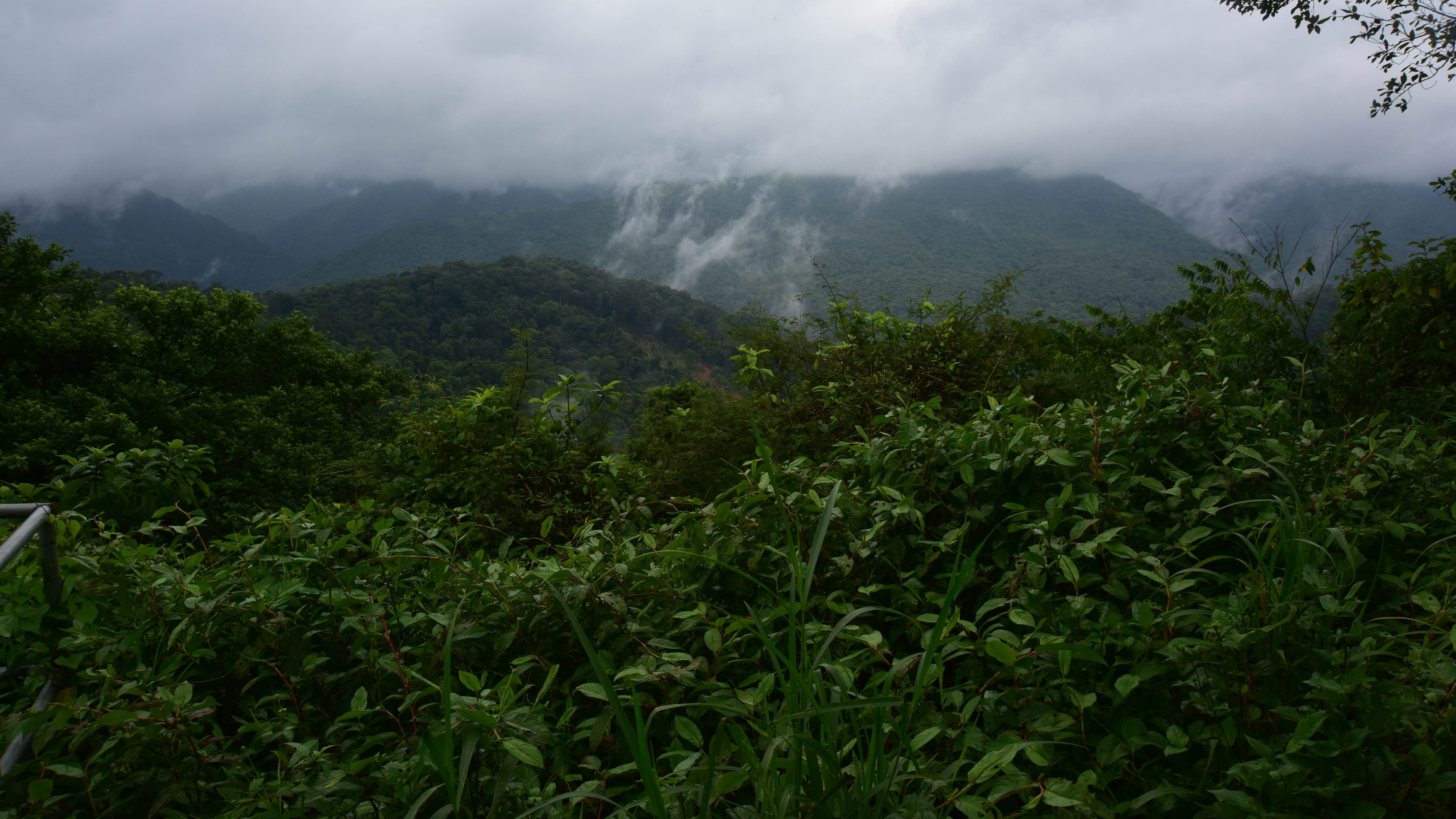 Plan for museum in Bengaluru on Western Ghats ecology