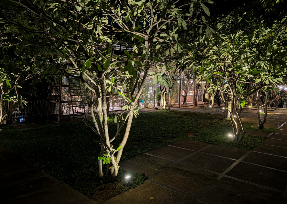 Google Pixel 10 Pro's camera sample.