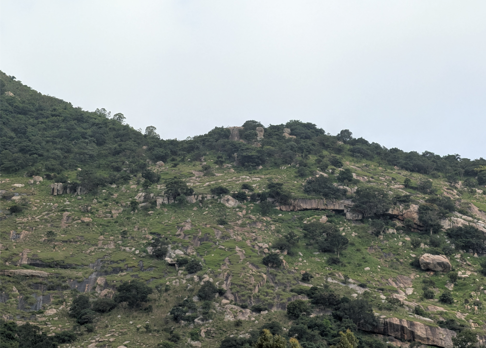 Pixel 10 Pro camera sample with 5X zoom.