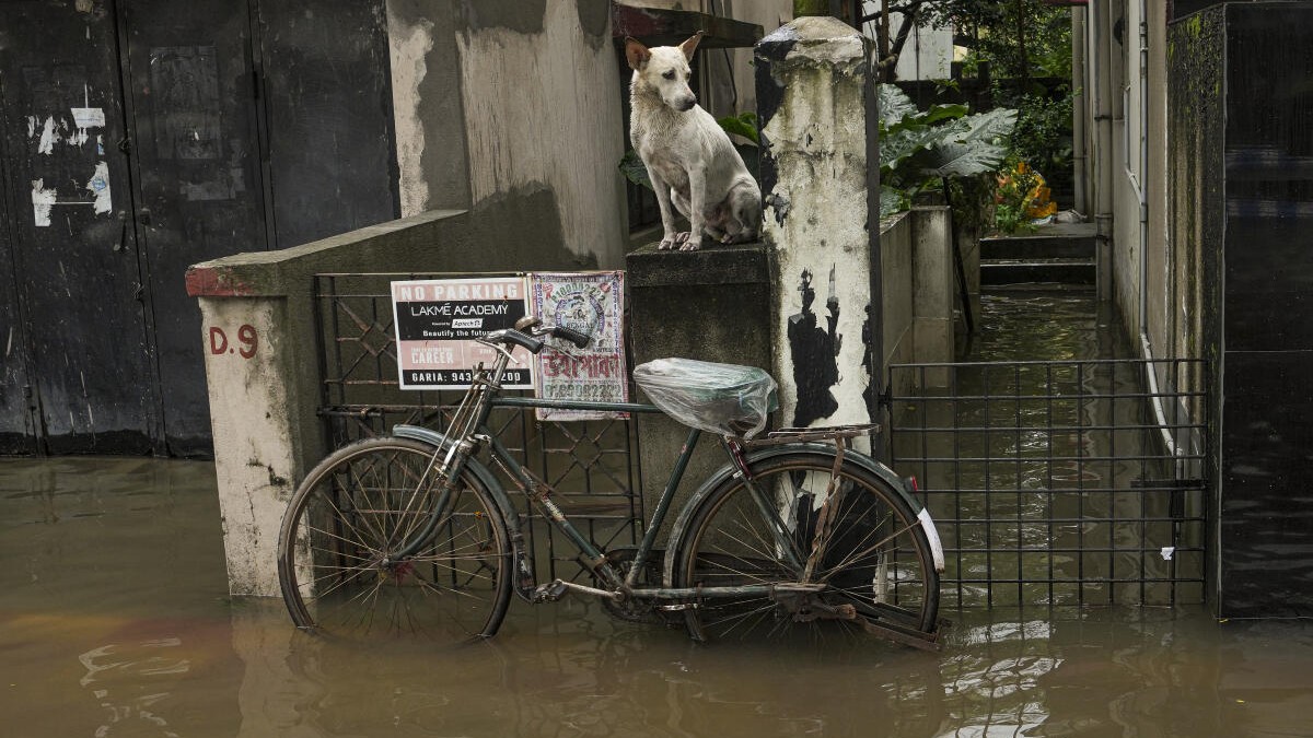 Kolkata limping back to normalcy after rain fury