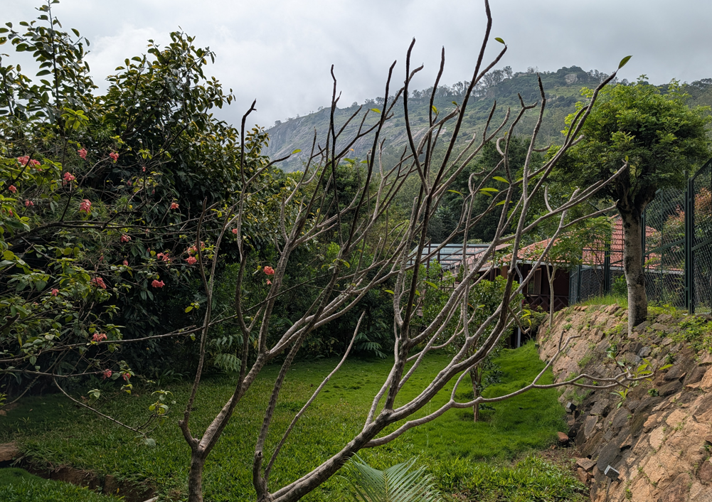 Google Pixel 10 Pro's camera sample.
