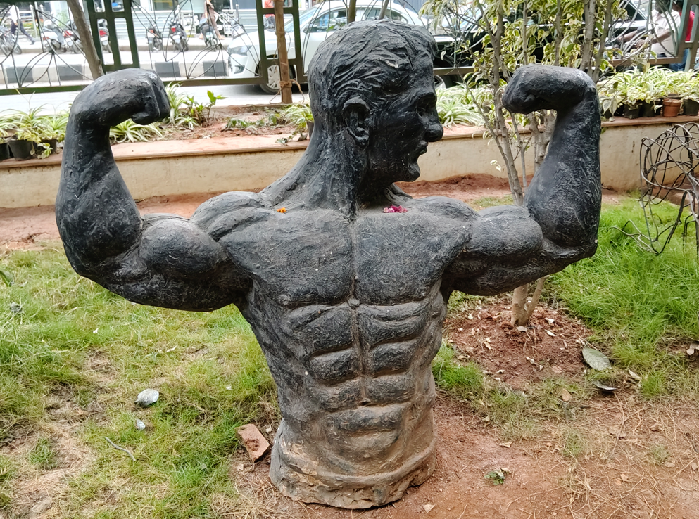 Oppo F31 Pro+'s camera sample.