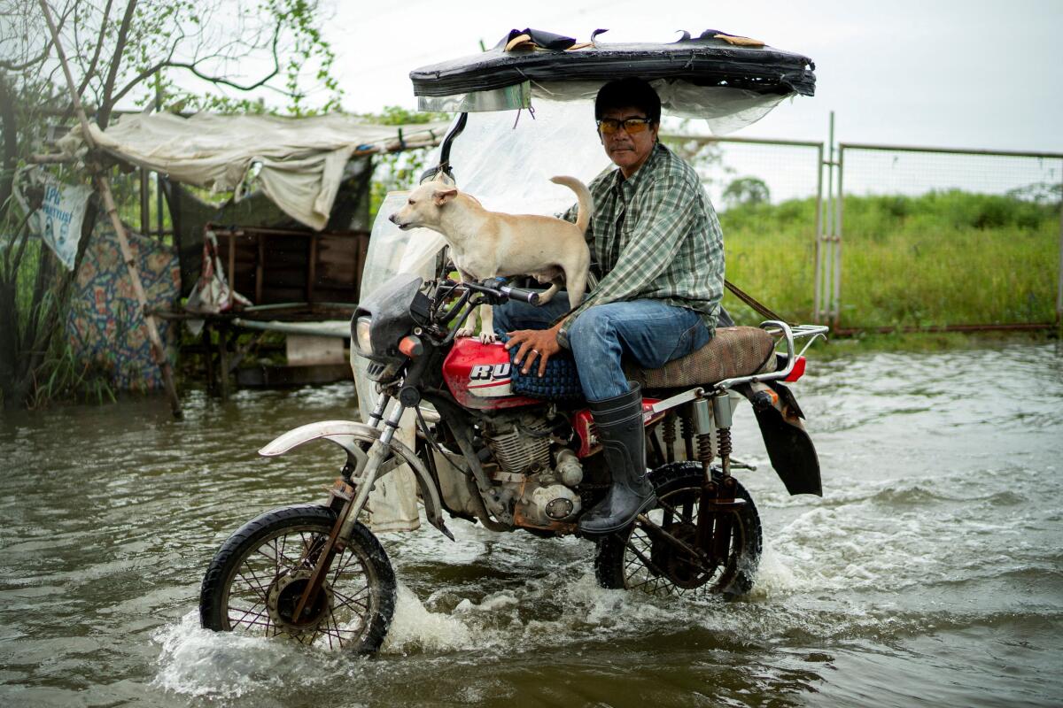 A motorist with a dog wades through a flooded road, following heavy rains intensified by Super Typhoon Ragasa, in Apalit, Pampanga province, Philippines.