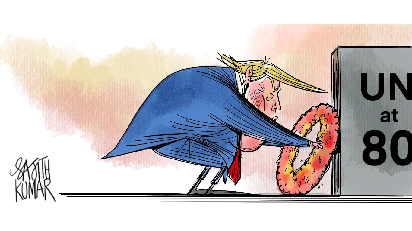 DH Toon | UN at 80