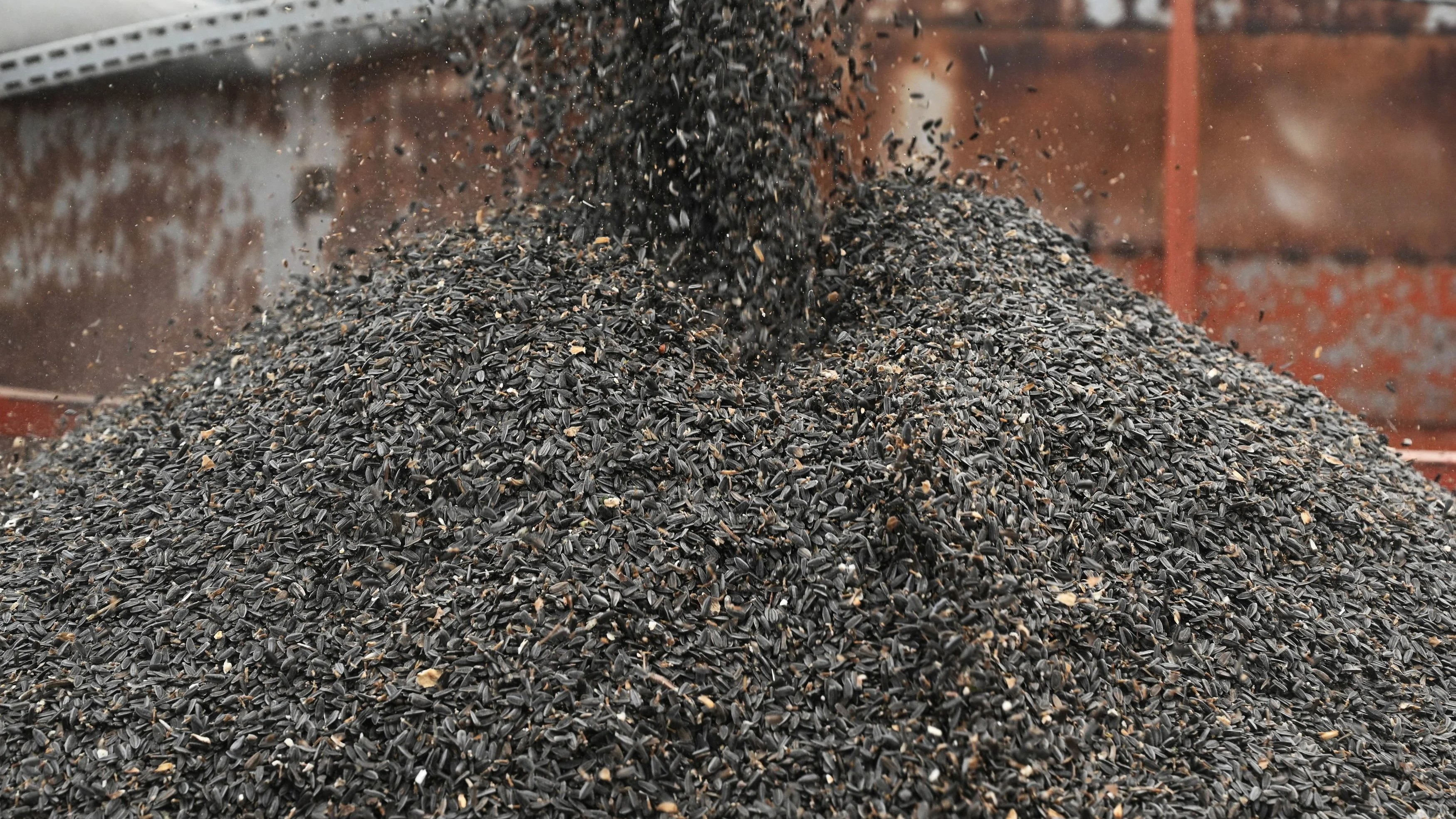 India’s seed sector urges end to state-level approvals, price controls