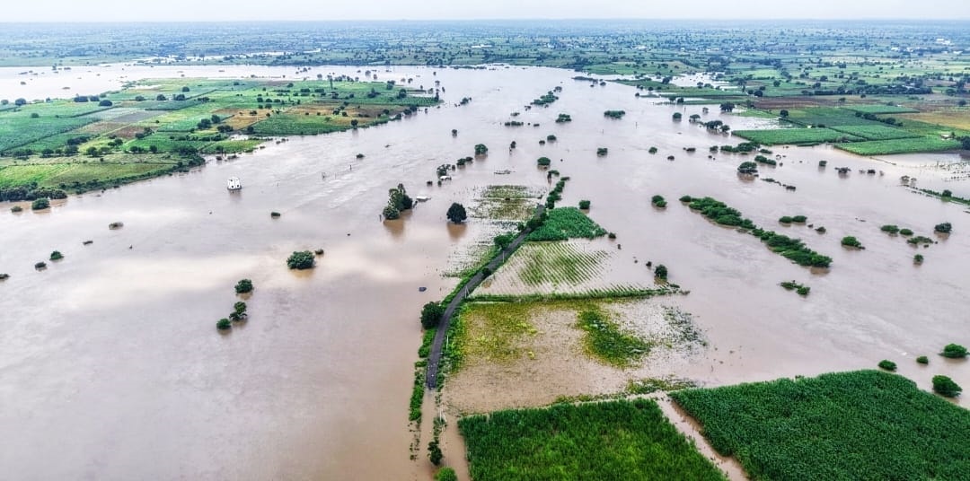 The swollen Manjra river has submerged vast tracts of agricultural lands near Kongali in Hulsoor taluk of Bidar district. 
