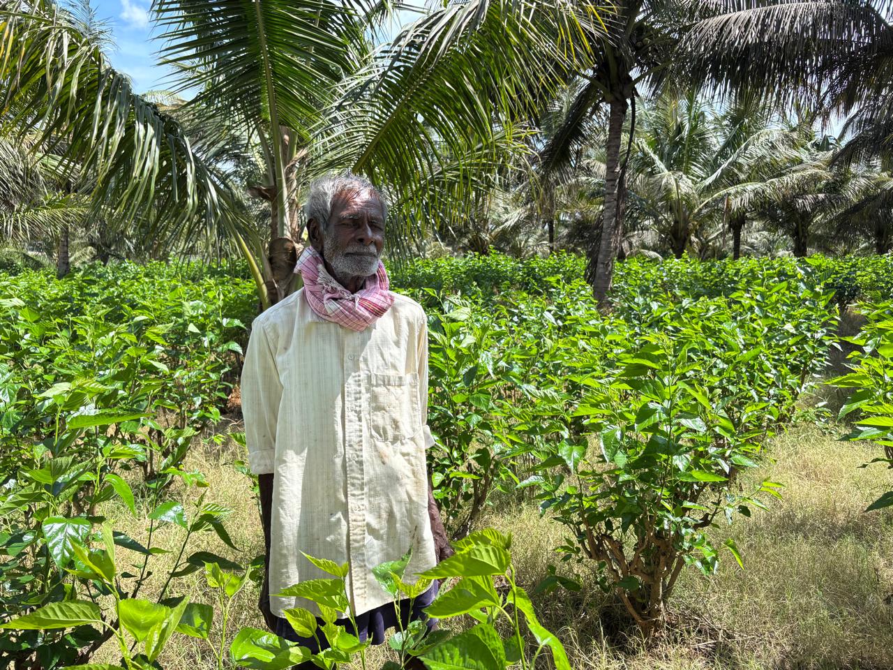 A 72 year old farmer Shivalingappa from Meravegowdanadoddi Byramangala at his land.
