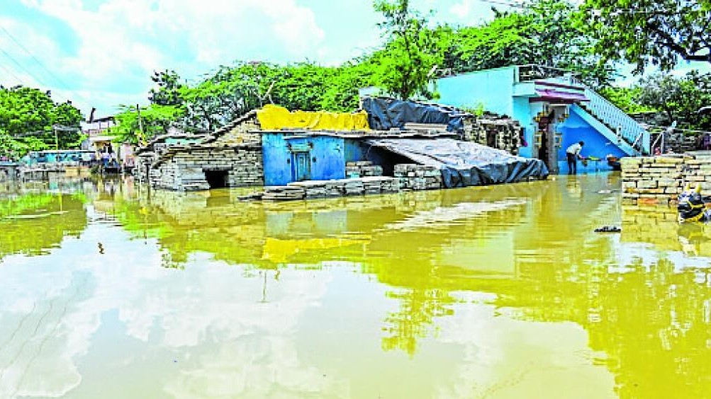 Crop loss on 8.60 lakh hectares in Karnataka due to rain, floods